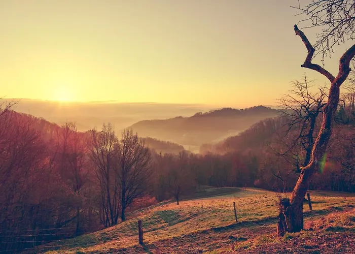 Nyaraló Tri Estate, A Piece Of Paradise In Kozjansko Podčetrtek